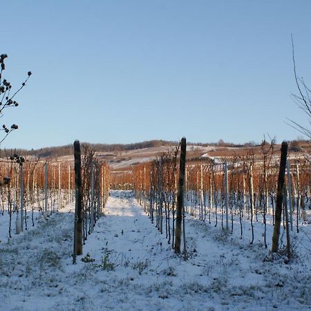 Chambre D'Hotes Le Vogelgarten Sigolsheim Zewnętrze zdjęcie